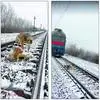 乌克兰狗狗在铁轨上照顾受伤“女友”