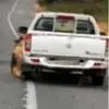 智利一男子绑住狗脖子 将其悬挂车外拖行