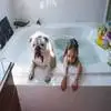 狗狗洗完澡后为什么到处蹭