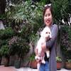 港媒：“BB”成最受香港人欢迎的宠物狗名