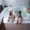 你的爱犬到底应该多久洗一次澡
