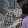 台媒称平壤动物园吸引数千朝鲜民众：狗展馆最热门