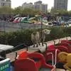 牡丹江市江滨公园惊现一只"狼" 宠物狗见到它吓的直哆嗦