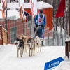 俄举行狗拉雪橇比赛迎狗年,参赛狗狗既矫健又蠢萌