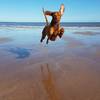 赞！英摄影师为宠物狗抓拍“空中飞犬”系列照