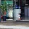 巴西天才狗狗每日独自去宠物店取晚餐 还会帮其他宠物一起带