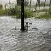飓风“哈维”引发洪水 狗狗被拴路边遭遗弃 浑身湿透等主人来