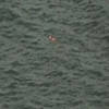 宠物狗不慎落海漂数公里 英海岸警卫队出动直升机救生船营救