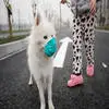 杭州重度雾霾 女主人给宠物狗戴口罩