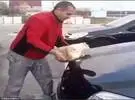 俄罗斯男人在冬天湿流浪猫清洗他们的车!那只野兽原来到处都是..。