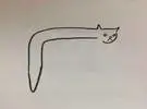 老师让学生画了一只猫, 一个同学手里的作业却得到了0分, 原来..。