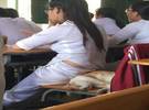 教室里闯进了一只猫睡在这个同学的椅子上, 下课后, 这位同学不得不.....。