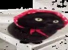 主持人帮助小黑猫穿上红围巾, 然后戏弄它, 这幅画几乎是孟.....。
