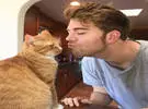 推主通常亲吻猫的时候, 猫是这样的反应, 有一天他一个女性朋友来探望, 和猫.....。