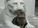连雕像也有一只猫, 你呢？