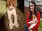 新西兰美女首相没有上任, 她的猫第一次变成了净红!