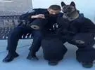 工作人员给警犬穿上一件训练服, 让它体验到被咬的感觉, 狗一脸的猛力.....。