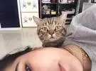 店主躺在那里拍自画像, 只看到猫在后面, 所以叫它一个吻, 结果.....。