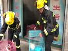 宠物店火暖心消防队员营救20多名小动物