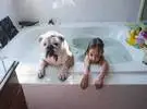 为宠物洗澡, 我可以用婴儿沐浴露吗？