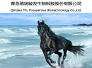 中国马业第一春事件: 重点放在上游产业链上的养殖马, 毛利率高达80%
