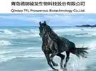 中国马业第一春事件: 重点放在上游产业链上的养殖马, 毛利率高达80%