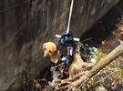 狗被困在沟里, 工程师改装了空中摄影机来救狗!