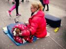 让无家可归的人睡去。动物协会给狗穿大衣。