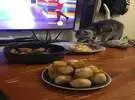 主人准备吃东西时, 小猫跑到餐桌上好奇地嗅到, 结果被抓住了, 笑喷了.....。