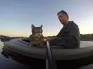 猫在船上的时候, 有一天是看到主人准备划桨去玩.....。