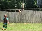 超级可爱!美丽的婴儿和邻居的狗通过栅栏快乐玩扔球