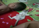 主人的儿子很好和猫在一起, 每天一起喝牛奶, 这张照片太搞笑了.....。