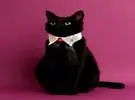 用超级小领结的小黑猫巨汉, 自然贵族气质!